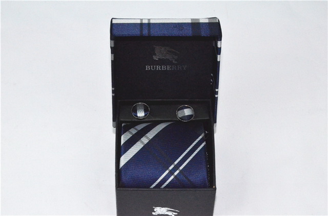 Burberry Ties 49